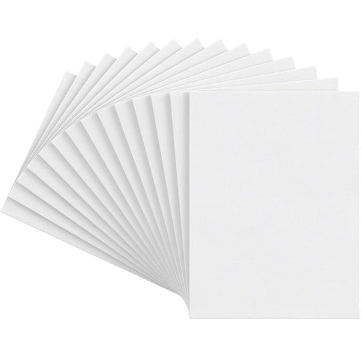 Phoenix Canvas Panels 12X16inch