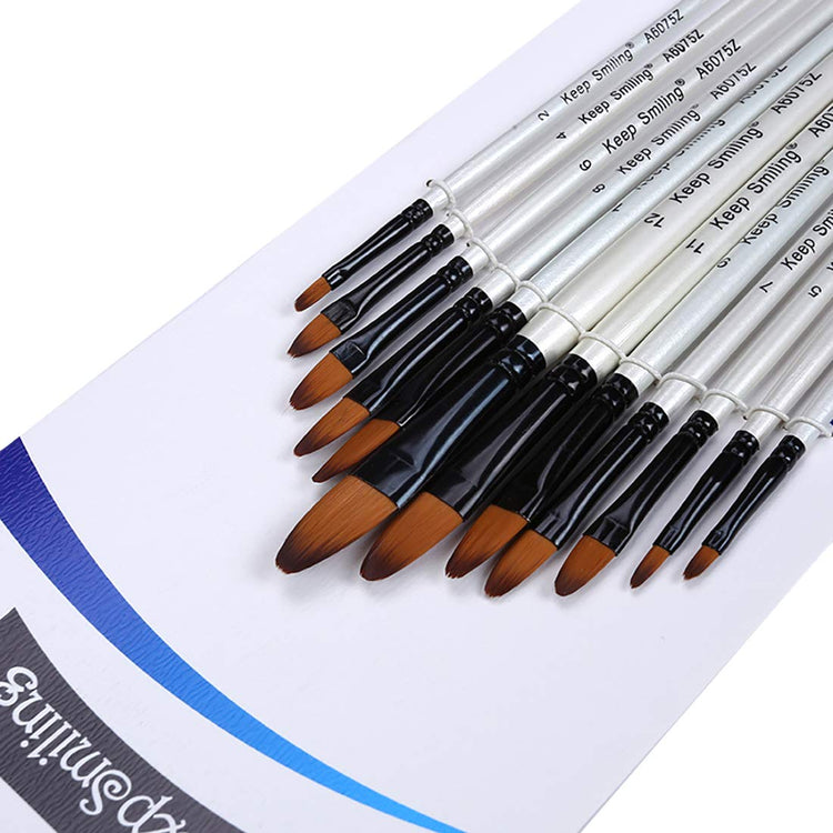 Bomeijia Artist Brush Set (12pcs)