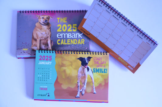 Pictorial Desk Calendar 2025 Embark