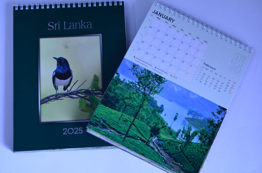 Pictorial Desk Calendar 2025